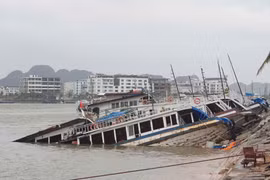 Hơn 20 tàu du lịch ở Hạ Long bị chìm vì bão Yagi, chủ tàu thiệt hại hàng chục tỷ đồng