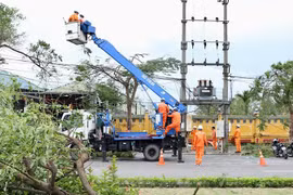 Ngành điện khắc phục hậu quả của cơn bão số 3