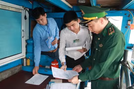 Nam Định: Xử phạt hành chính 78 tàu cá vi phạm khai thác IUU