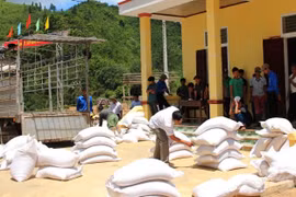 Nhiều tỉnh đề nghị cấp gạo cứu đói giáp hạt 2024