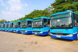 Hà Nội: Thêm 5 tuyến buýt trợ giá dừng hoạt động từ 1/4