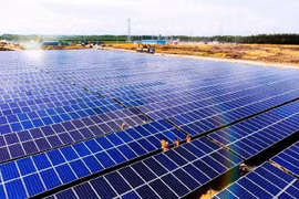 Điểm mặt loạt doanh nghiệp điện mặt trời khởi công dự án khi chưa được thuê đất