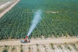 Hết bán khách sạn, bệnh viện, Hoàng Anh Gia Lai lại bán cổ phần tại HNG để lấy tiền trả nợ