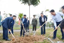 Tỉnh Phú Thọ sẽ trồng 825ha rừng tập trung và 945 nghìn cây phân tán trong năm 2024