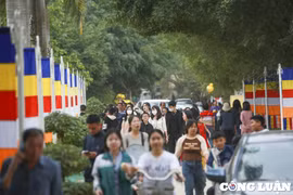 Tết Nguyên đán: Chùa Hương, Chùa Khai Nguyên, Tam Chúc đón hàng nghìn người đến tham quan