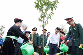 Chủ tịch nước dự Lễ phát động Tết trồng cây 'Đời đời nhớ ơn Bác Hồ'
