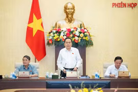 Không để chậm, muộn, ảnh hưởng đến tiến độ và chất lượng thẩm tra hồ sơ, tài liệu