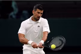 Novak Djokovic vào bán kết Wimbledon 2024 không tốn một giọt mồ hôi