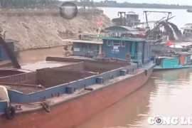 Vinaconex khai thác cát thi công xây dựng đường Vành đai 4 - Vùng Thủ đô