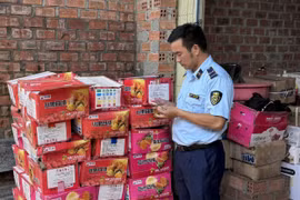 Gia Lai: Phát hiện gần 8.000 chiếc bánh trung thu không rõ nguồn gốc