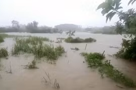 Quảng Ninh: Thường trực Tỉnh ủy chỉ đạo khẩn trương khắc phục hậu quả bão số 3 và ứng phó với diễn biến mới của lũ