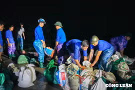 Hà Nội: Hàng trăm đoàn viên, thanh niên được huy động hỗ trợ người dân vùng ngập lụt