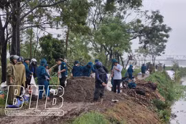 Thái Bình: Tiếp tục tăng cường công tác tuần tra, canh gác và xử lý sự cố trên tuyến đê quốc gia