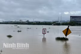 Ninh Bình: Mực nước sông Hoàng Long và sông Đáy trên mức báo động 3