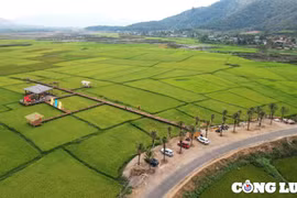 Quán cà phê “mọc” giữa ruộng: Vì sao UBND xã Chư Đang Ya xin cơ chế đặc thù?