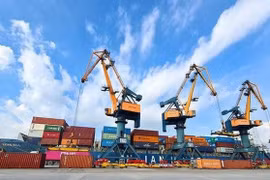Lợi nhuận giảm sâu 50%, 5,4 triệu cổ phiếu HAH bị 'xả' bán chỉ trong 2 ngày