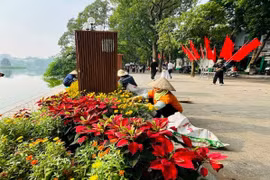 Những đôi tay cần mẫn đưa Hà Nội tỏa sáng trước thềm kỷ niệm 70 năm ngày Giải phóng Thủ đô