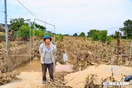 Người trồng đào, quất ở Tây Hồ chịu thiệt hại 64 tỷ đồng, kiến nghị cơ chế hỗ trợ đặc thù