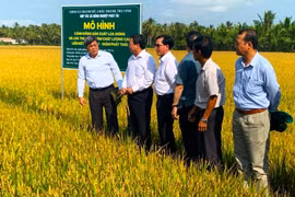 Đoàn công tác Bộ Nông nghiệp và Phát triển Nông thôn làm việc tại HTX Phát Tài – mô hình sử dụng NPK Phú Mỹ