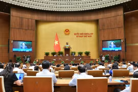 Tuần này, Quốc hội tập trung thảo luận các dự án luật