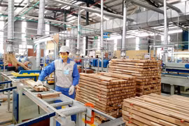 Doanh nghiệp có xu hướng thận trọng trong đầu tư sản xuất, kinh doanh