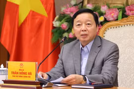Rà soát cơ chế, chính sách để đề xuất mô hình hoạt động phù hợp cho Viện Nghiên cứu cao cấp về Toán