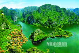 Chuẩn bị cẩn trọng, chu đáo lễ kỷ niệm 10 năm Tràng An là Di sản văn hóa và thiên nhiên Thế giới