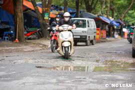Hà Nội: Các "ổ voi, ổ gà" trên ngõ 75 phố Trần Thái Tông sẽ được sửa chữa trong năm nay