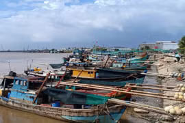 Thêm nhiều sai phạm tại các dự án do Ban Quản lý dự án Nông nghiệp & Phát triển nông thôn Bạc Liêu làm chủ đầu tư