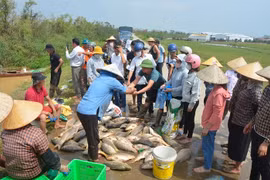 Bắc Ninh: 32 Dự án Phụ nữ khởi nghiệp bị ảnh hưởng bởi bão lụt, thiệt hại ước tính gần 27 tỷ đồng