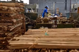 Thanh Hoá sắp có nhà máy sản xuất ván tre hơn 3 nghìn tỷ đồng