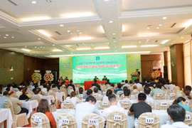 Từng đem 70% tài sản đi cho vay, Đầu tư Hợp Nghĩa xuất hiện cùng 'biến động mạnh' cổ đông ở CTCP Môi trường Đô thị Quảng Ngãi