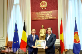 Ninh Bình xúc tiến đầu tư, thương mại tại Vương quốc Bỉ