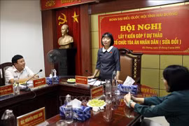 Đề nghị thành lập các tòa án nhân dân sơ thẩm chuyên biệt