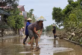 Nhịp sống đang trở lại bình thường ở các xã vùng bãi sông Hồng