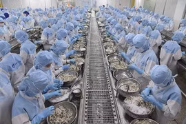 Xuất khẩu thủy sản tháng 7/2024 đạt mức cao nhất kể từ đầu năm tới nay