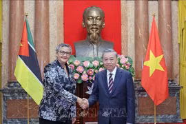 Chủ tịch nước Tô Lâm tiếp Đại sứ các nước trình Quốc thư