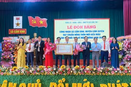 Cẩm Vịnh chuyển mình toàn diện cùng nông thôn mới kiểu mẫu