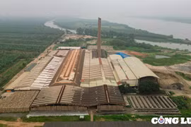 Hưng Yên: Vì sao Công ty Cổ phần Vân Đức ngang nhiên hoạt động dù thực hiện trái chủ trương đầu tư?