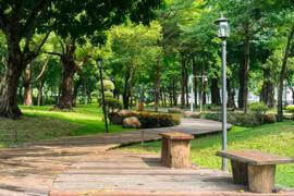 Nắng trùm lên mọi lối đi