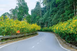 Hà Nội cải tạo hơn 8km từ Tỉnh lộ 414 đi Vườn quốc gia Ba Vì