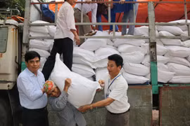 Chính phủ xuất cấp gạo cho 5 địa phương dịp giáp hạt năm 2024