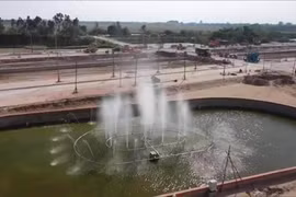 Cần xử lý nghiêm trách nhiệm tổ chức, cá nhân có liên quan!