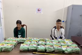 Hà Tĩnh: Bắt 2 đối tượng vận chuyển 30kg ma túy đá