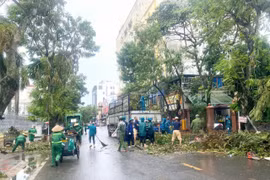 Chung tay phân loại rác thải sau bão là góp phần xây dựng thành phố Hải Phòng xanh, sạch, đẹp