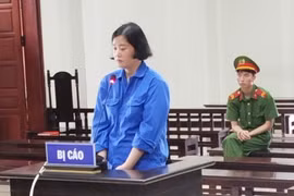 Giám đốc doanh nghiệp đưa thông tin gian dối nhằm lừa đảo chiếm đoạt tài sản