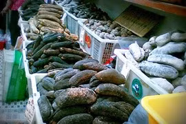Hải sâm khô Kenya lần đầu tiên có mặt tại Trung Quốc