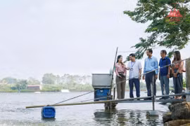 Hội Nhà báo tỉnh Vĩnh Phúc tổ chức cho hội viên đi tìm hiểu thực tế tại huyện Yên Lạc
