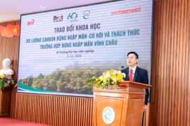 Giải pháp đo lường carbon rừng ngập mặn, cơ hội cho phát triển kinh tế xanh