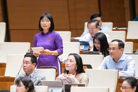 Đại biểu Quốc hội đề nghị tăng cường kiểm tra quy trình, thủ tục xét duyệt hồ sơ mua nhà ở xã hội